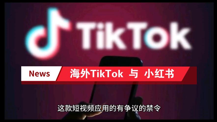 tiktok买活粉真人粉平台_tiktok加粉