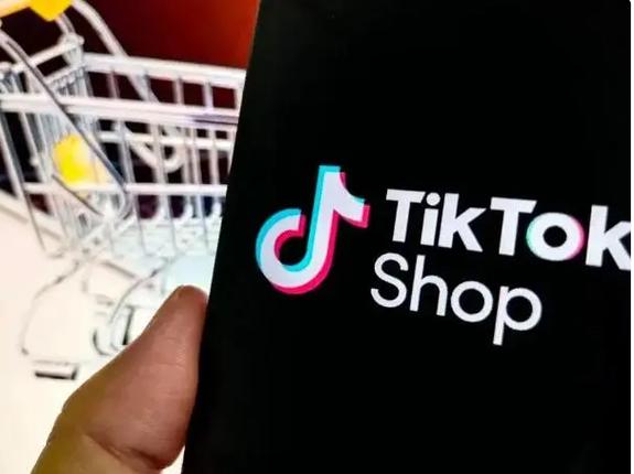 低价tiktok粉丝业务自助下单_tiktok万粉号