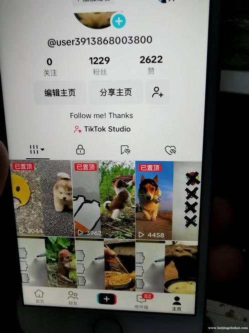 低价tiktok粉丝业务自助下单_tiktok万粉号