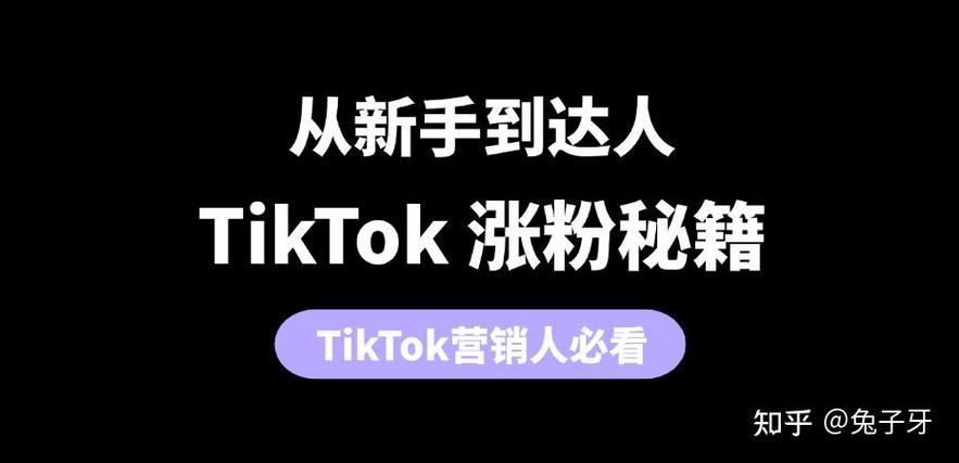 tiktok号粉丝购买平台_tiktok万粉号多少钱