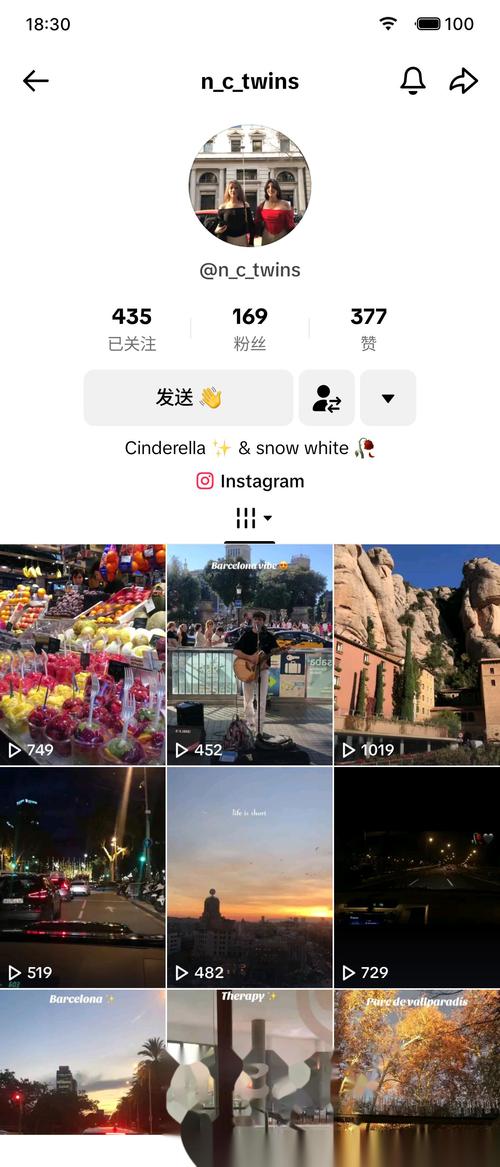 tiktok10粉丝自助下单_tiktok爆粉