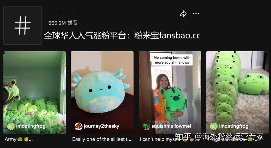 tiktok哪里买粉靠谱_tiktok有没有卖