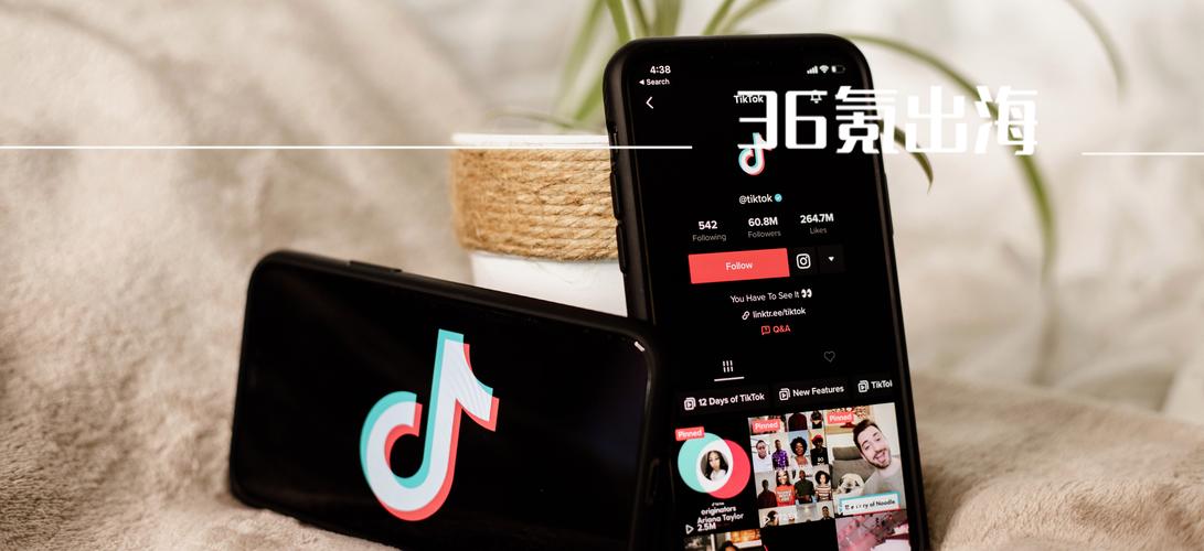 关注和粉丝购买tiktok_tiktok怎么关注不了人