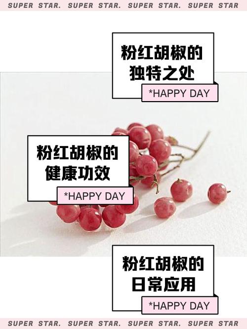 包含tiktok的辣椒粉能买吗的词条