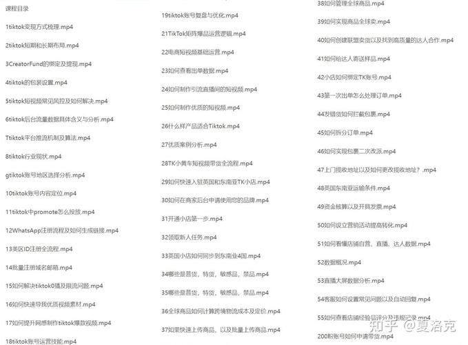 tiktok自助粉丝下单流程视频_tiktok快速涨粉