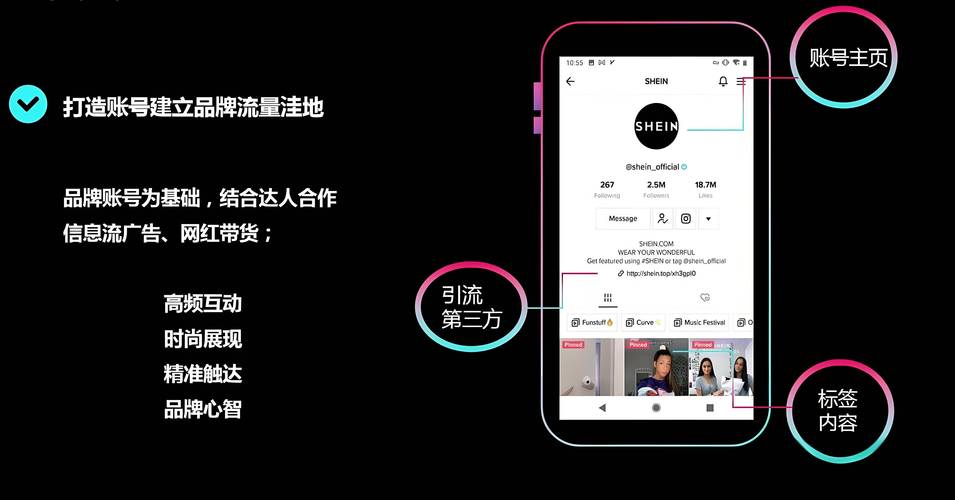 tiktok买粉平台_tiktok账号在哪买