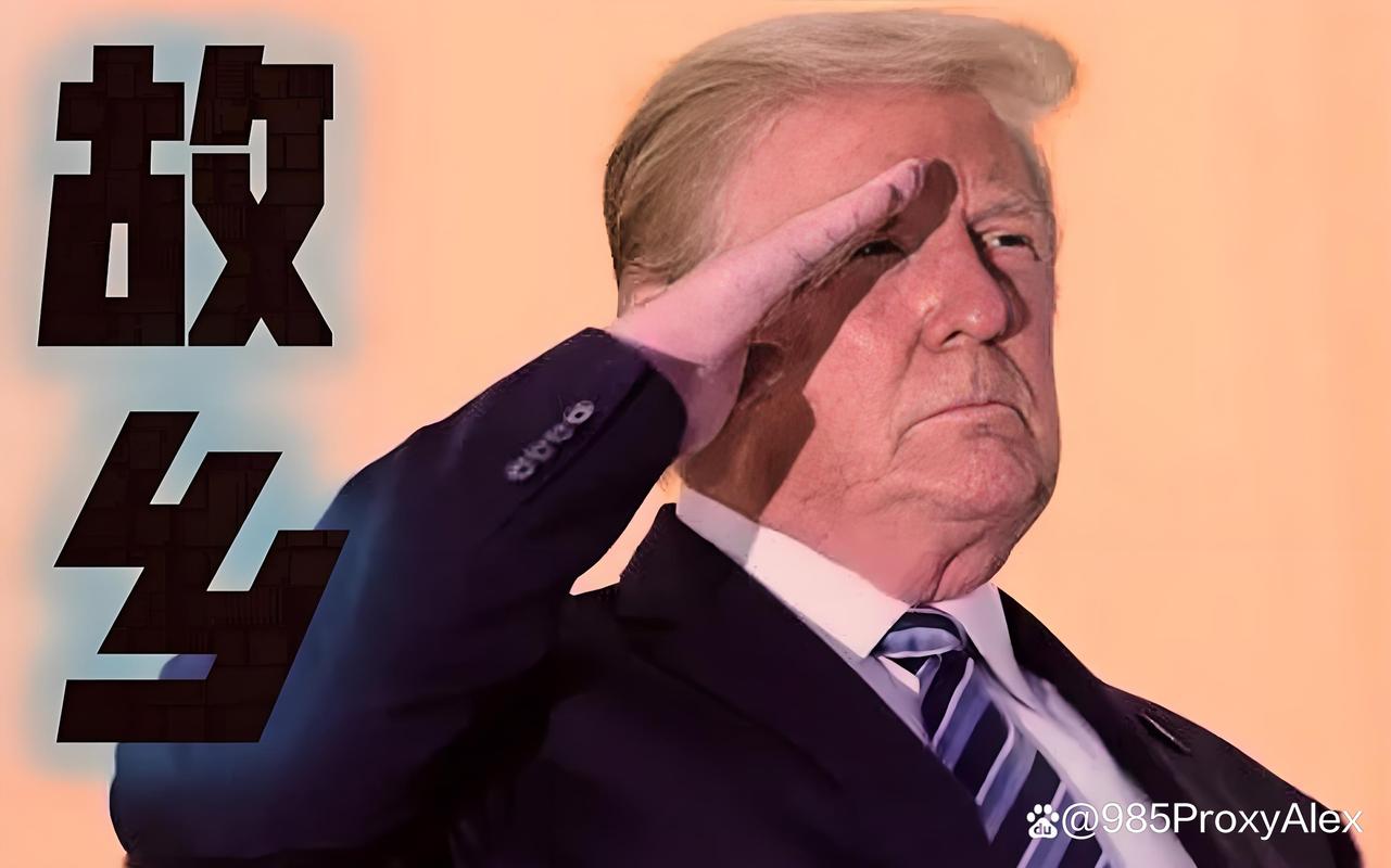 川普tiktok涨粉,川普TikTok涨粉现象深度解析!