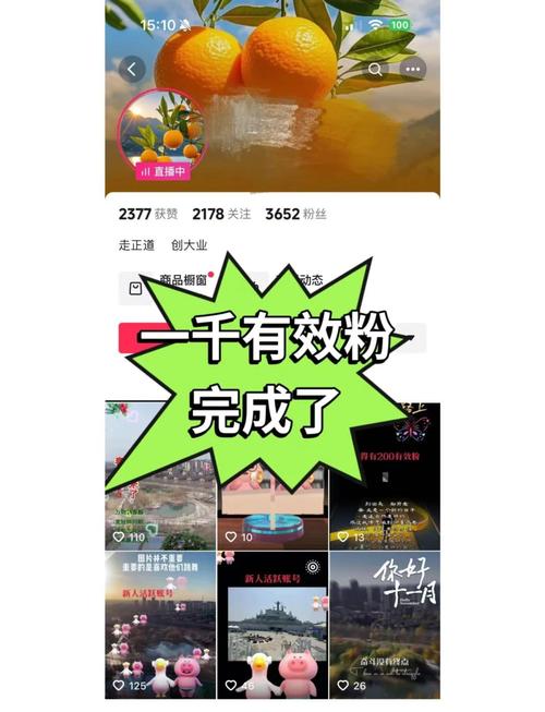 个人抖音如何有效涨粉丝,一、引言!