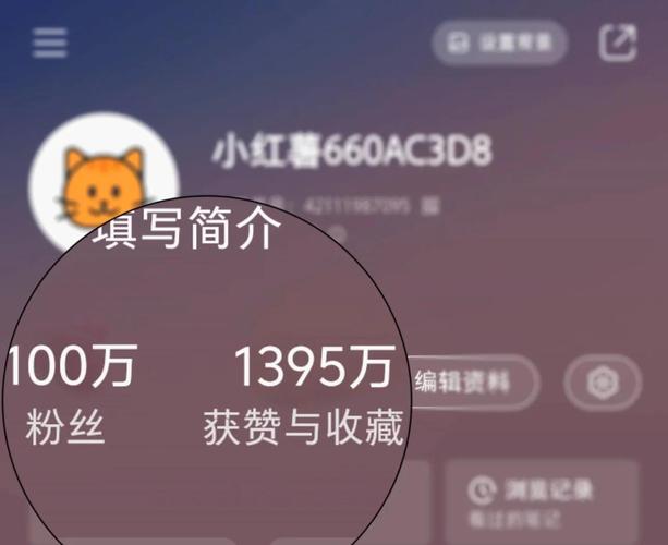 抖音账号百万粉买,抖音账号百万粉丝购买：背后的逻辑与考量因素!