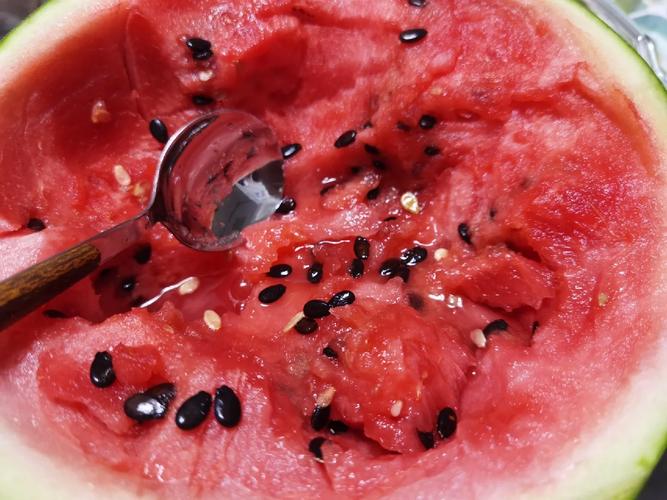 西瓜自助下单平台官网