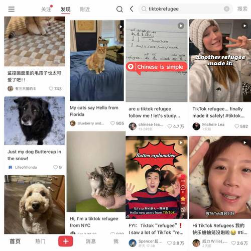 tiktok好物种草如何涨粉到1000,TikTok好物种草如何涨粉到一千：策略与实践!