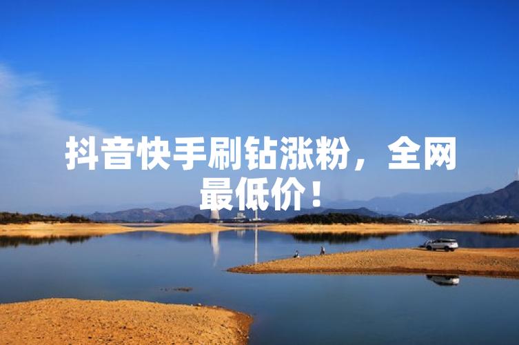 刷抖音刷粉平台