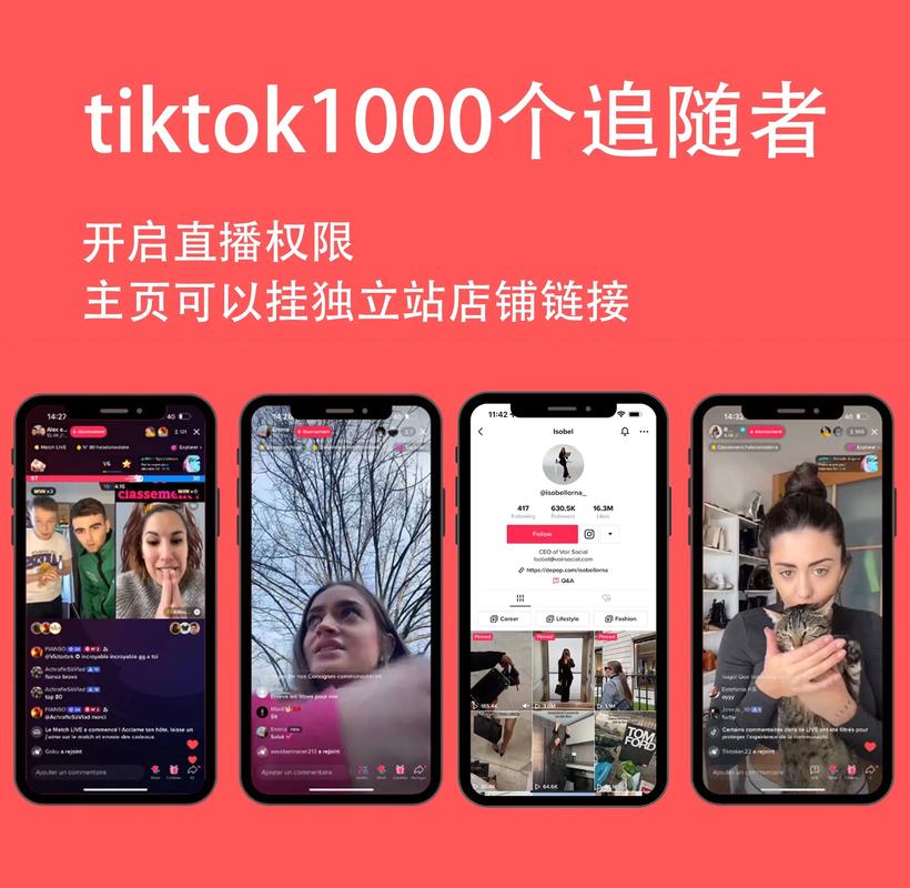 tiktok涨粉技术直播,TikTok涨粉技术直播：策略与实践!