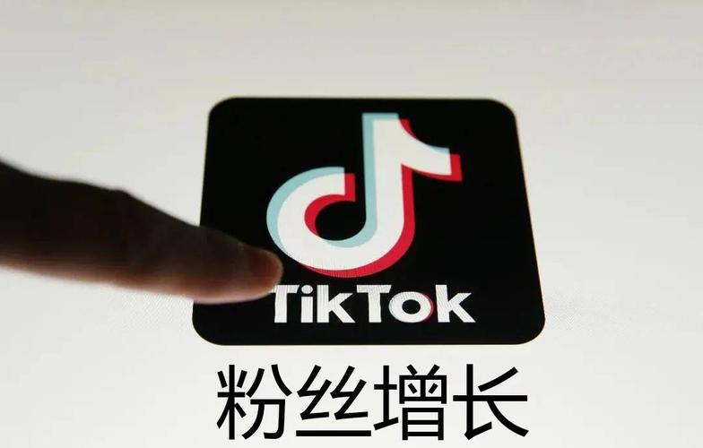 tiktok涨粉技术直播,TikTok涨粉技术直播：策略与实践!