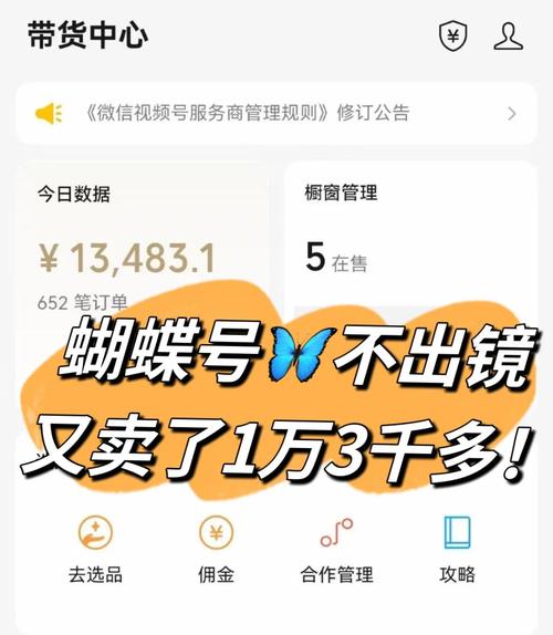 标题：从0到10万+粉丝：7天解锁视频号爆款打造全攻略