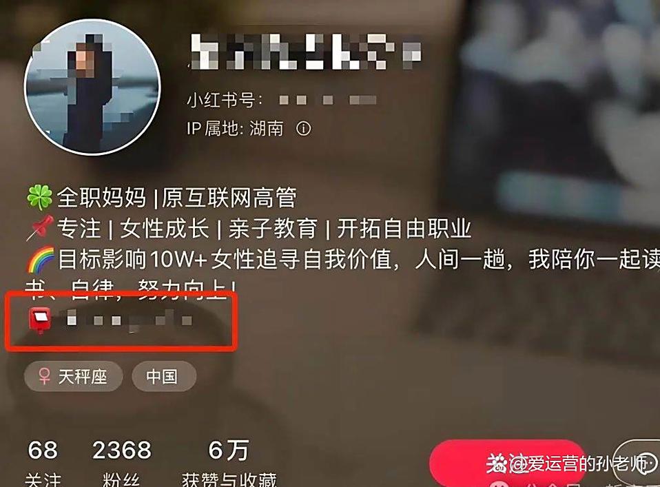 揭秘小红书粉丝增长黑科技：安全购买粉丝
