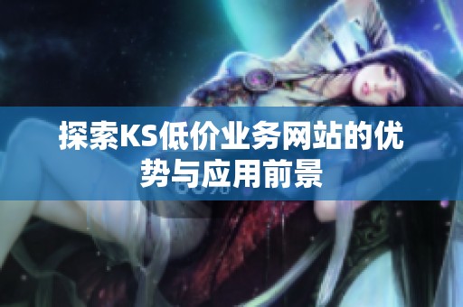 探索KS低价业务网站的优势与应用前景