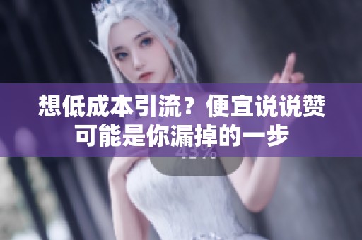 想低成本引流？便宜说说赞可能是你漏掉的一步