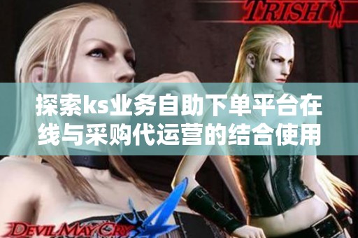 探索ks业务自助下单平台在线与采购代运营的结合使用