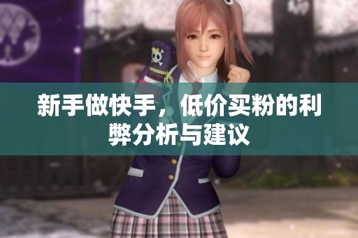 新手做快手，低价买粉的利弊分析与建议