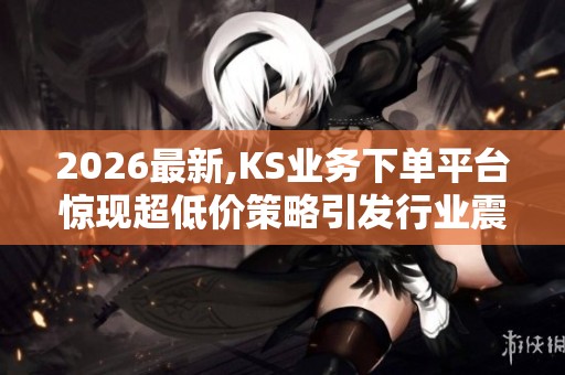 2026最新,KS业务下单平台惊现超低价策略引发行业震动热议