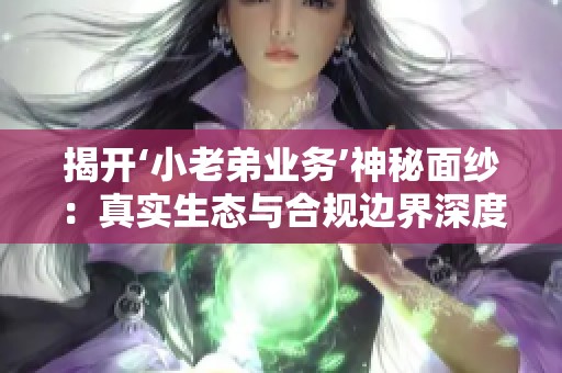 揭开‘小老弟业务’神秘面纱：真实生态与合规边界深度探讨