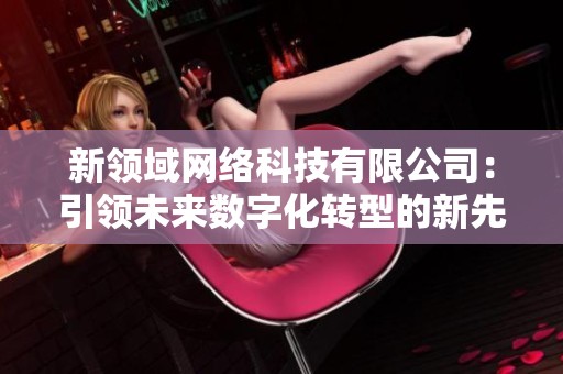 新领域网络科技有限公司：引领未来数字化转型的新先锋