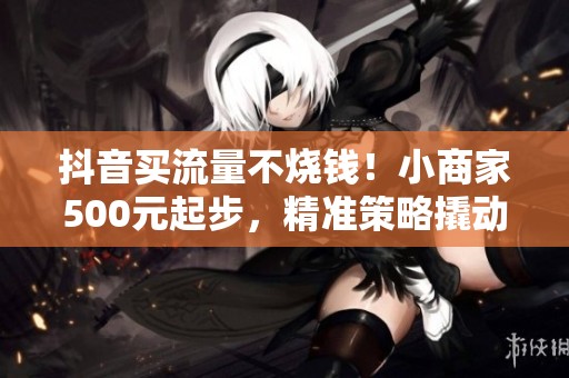 抖音买流量不烧钱！小商家500元起步，精准策略撬动大流量
