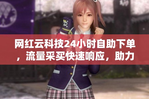 网红云科技24小时自助下单，流量采买快速响应，助力业务腾飞！