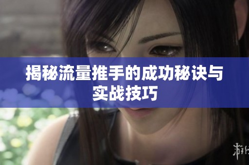揭秘流量推手的成功秘诀与实战技巧 揭秘流量推手的成功秘诀与实战技巧
