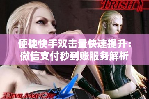 便捷快手双击量快速提升:微信支付秒到账服务解析 便捷快手双击量快速提升:微信支付秒到账服务解析