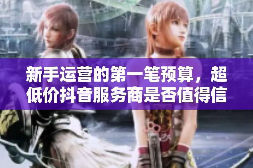 新手运营的第一笔预算，超低价抖音服务商是否值得信赖？