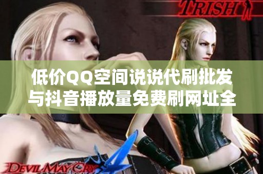 低价QQ空间说说代刷批发与抖音播放量免费刷网址全面资讯分享