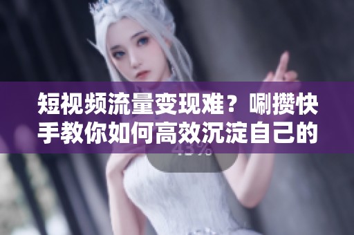短视频流量变现难？唰攒快手教你如何高效沉淀自己的私域资产
