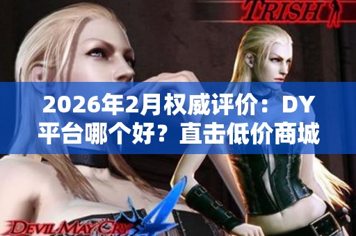 2026年2月权威评价:DY平台哪个好?直击低价商城核心优缺点 2026年2月权威评价:DY平台哪个好?直击低价商城核心优缺点