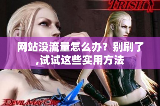 网站没流量怎么办？别刷了,试试这些实用方法