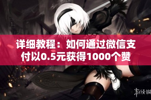 详细教程：如何通过微信支付以0.5元获得1000个赞