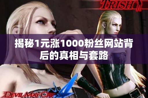 揭秘1元涨1000粉丝网站背后的真相与套路 揭秘1元涨1000粉丝网站背后的真相与套路