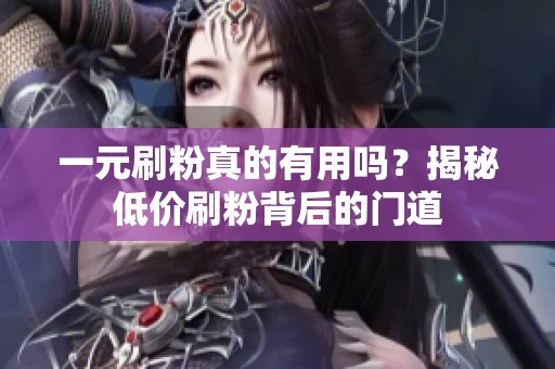 一元刷粉真的有用吗?揭秘低价刷粉背后的门道 一元刷粉真的有用吗?揭秘低价刷粉背后的门道