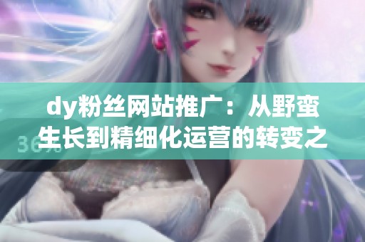 dy粉丝网站推广:从野蛮生长到精细化运营的转变之路 dy粉丝网站推广:从野蛮生长到精细化运营的转变之路