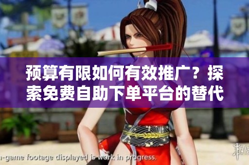 预算有限如何有效推广？探索免费自助下单平台的替代方案